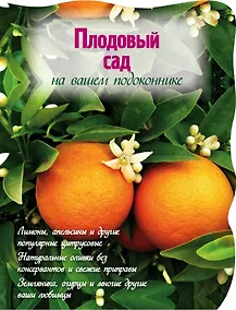 Купить Плодовый сад на вашем подоконнике — Фото №1