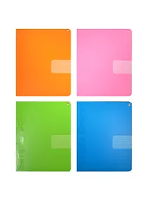 Купить Тетрадь в линейку Альт, "Простые цвета", 18 листов, в ассортименте — Фото №1