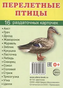 Купить Перелетные птицы. 16 раздаточных карточек с текстом на русском и английском языках — Фото №1