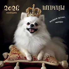 Купить Шпицы. Календарь настенный на 2026 год (300х300) — Фото №1