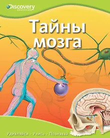 Купить Тайны мозга — Фото №1