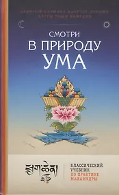Купить Смотри в природу ума. Классический учебник по практике Махамудры — Фото №1