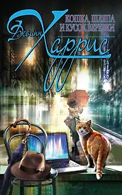 Купить Кошка, шляпа и кусок веревки — Фото №1