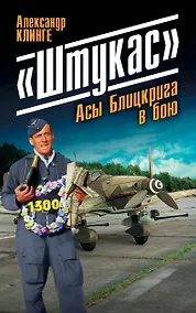 Купить "Штукас". Асы Блицкрига в бою — Фото №1