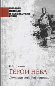 Купить Герои неба. Летчики военной авиации — Фото №1
