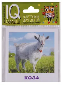 Купить Умный малыш. Домашние животные — Фото №1