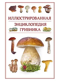 Купить Иллюстрированная энциклопедия грибника. — Фото №1
