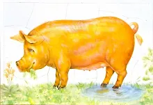 Купить Как у нашей хрюшки розовые ушки — Фото №1