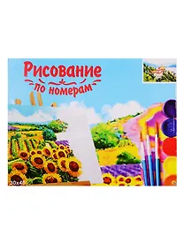 Купить Набор для раскрашивания по номерам ТМ Рыжий Кот Холст Прекрасный вид с горы 30х40см Х-9123 — Фото №1