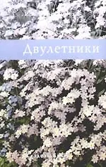 Купить Двулетники — Фото №1