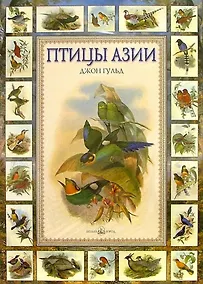 Купить Птицы Азии — Фото №1