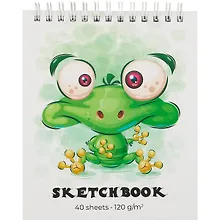 Купить Скетчбук А6 40л "Лягушка" 120г/м2, тв.обложка, спираль — Фото №1