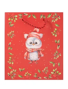 Купить Пакет А5 23*18*10 "Совёнок" НГ, бум.мат.ламинат — Фото №1