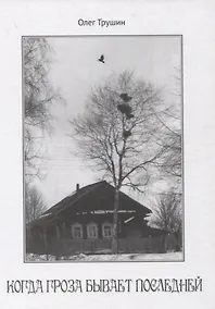 Купить Когда гроза бывает последней — Фото №1