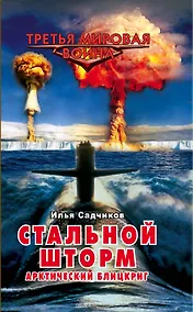 Купить Стальной шторм. Арктический блицкриг — Фото №1