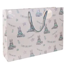 Купить Пакет А3 44*32,5*12 "Милый кролик" дет., бум.мат.ламинат — Фото №1