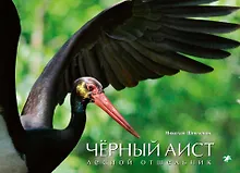 Купить Белый аист. Посланец неба/ Чёрный аист. Лесной отшельник — Фото №1