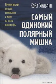 Купить Самый одинокий полярный мишка — Фото №1