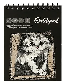 Купить Скетчбук А6 30л "Котик" черн.внутр.блок, 120г/м2, гребень — Фото №1