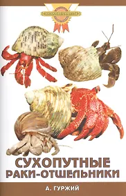 Купить Сухопутные раки-отшельники (цвет) — Фото №1