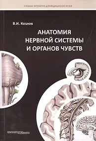 Купить Анатомия нервной системы и органов чувств: Учебное пособие. — Фото №1