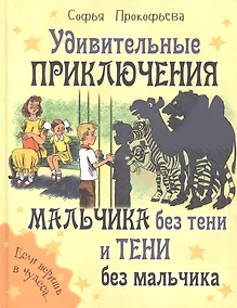 Купить Удивительные приключения мальчика без тени и тени без мальчика — Фото №1