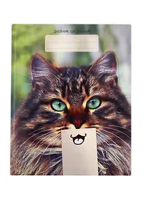 Купить Дневник для средних и старших классов Unnika, "Кошачьи забавы" — Фото №1
