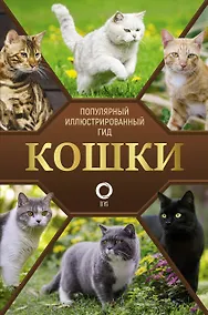 Купить Кошки — Фото №1