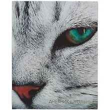 Купить Дневник для средних и старших классов Listoff, "Котик" — Фото №1