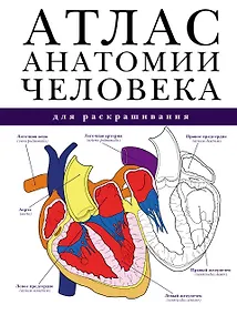 Купить Атлас анатомии человека для раскрашивания — Фото №1