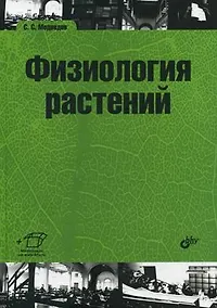 Купить Физиология растений: учебник — Фото №1
