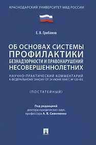 Купить Научно-практический комментарий к ФЗ от 24 июня 1999 г. № 120-ФЗ «Об основах системы профилактики безнадзорности и правонарушений несовершеннолетних» (постатейный) — Фото №1