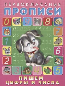 Купить Пишем цифры и числа — Фото №1