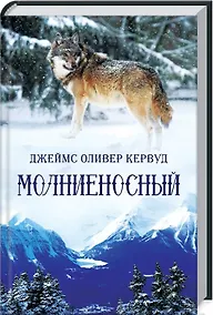 Купить Молниеносный: Роман — Фото №1