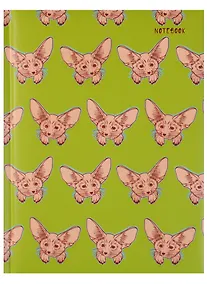 Купить Записная книжка «Очаровательные лисята» А6, 80 листов, Listoff — Фото №1