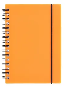 Купить Тетрадь 80 листов, клетка, "Favorite Color. Neon Orange" спираль — Фото №1