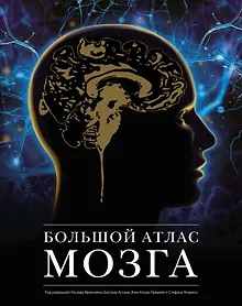Купить Большой атлас мозга — Фото №1