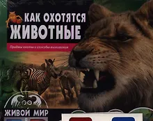 Купить Как охотятся животные.Приемы охоты и способы выживания(книга+стереоочки) — Фото №1