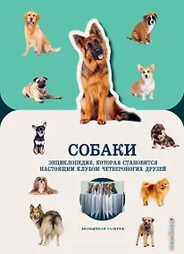 Купить Собаки — Фото №1