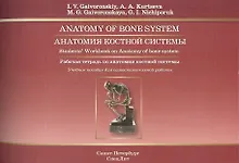 Купить Анатомия костной системы: рабочая тетрадь к учебному пособию (на английском языке) — Фото №1