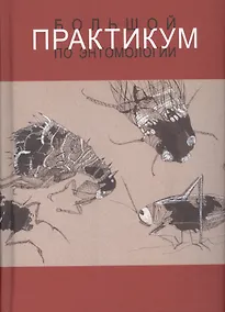 Купить Большой практикум по энтомологии. Учебное пособие — Фото №1