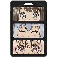 Купить Чехол для карточек Анимэ Седзе (ДГ2021-303) — Фото №1