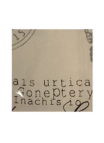 Купить Отрез льна, 48*45 см, в пакете без подвеса, крупные бабочки — Фото №1