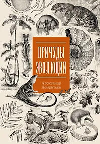 Купить Причуды эволюции — Фото №1