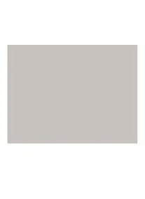 Купить Бумага для пастели 50*65 "Mi-Teintes" 160г/м2 №335 белый, Canson — Фото №1