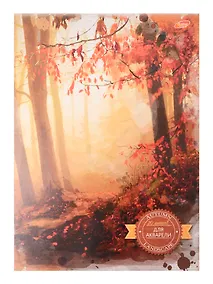 Купить Планшет для акварели Academy Style, А4, 20 листов, на склейке, в ассортименте — Фото №1