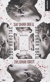 Купить Загоняя овец — Фото №1