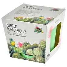 Купить Набор д/выращивания растений Магия цветов, Кактусы микс (mf-003) — Фото №1