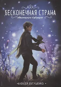 Купить Бесконечная страна — Фото №1