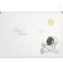 Купить Папка на молнии А4 "Deep space" с расширением, ассорти — Фото №1